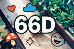 66D 